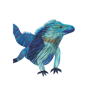Blue Cayman Iguana