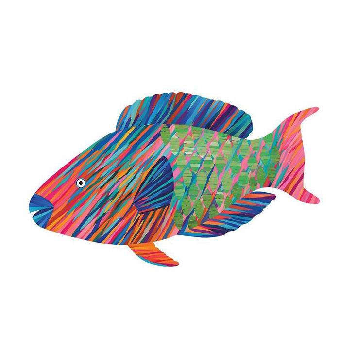Rainbow Parrotfish Card