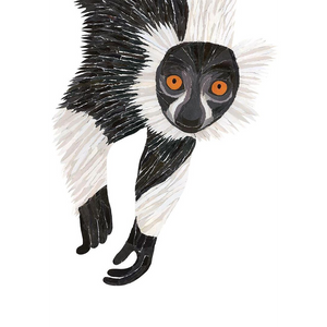 Ruffed Lemur Card