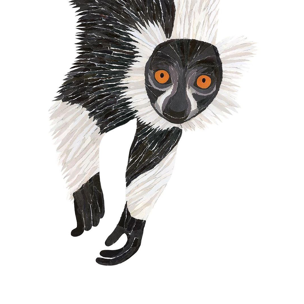 Ruffed Lemur Card